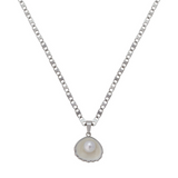 Shell Design Necklace Mother Of Pearl Limited Edition